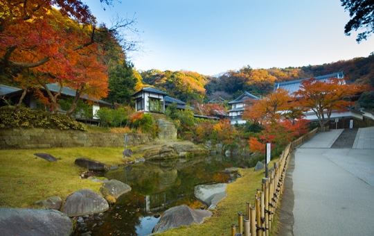 MYOKO-Chi(pond)