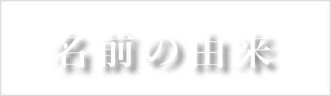 名前の由来