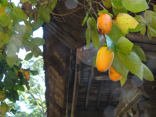 blog-DSC00474