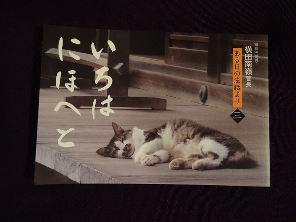 blog-DSC03424