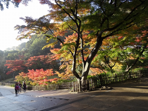 blog-DSC04093
