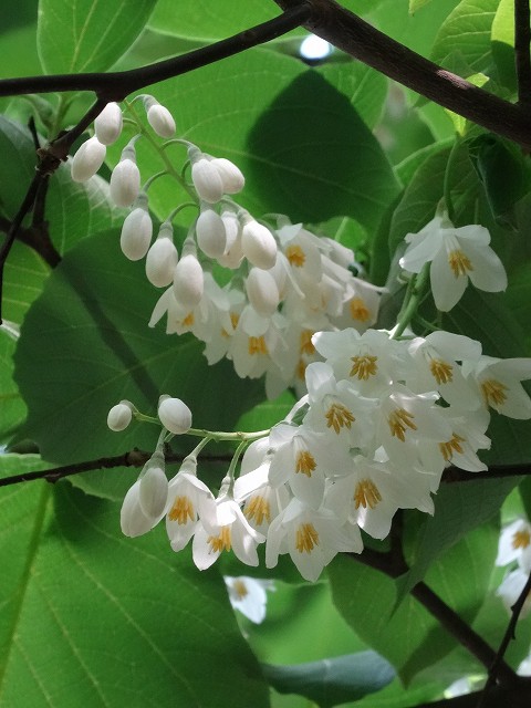 blog-DSC05138
