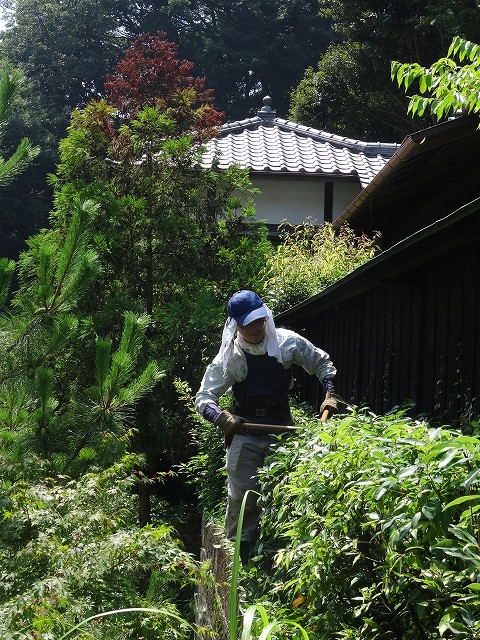 blog-DSC05792