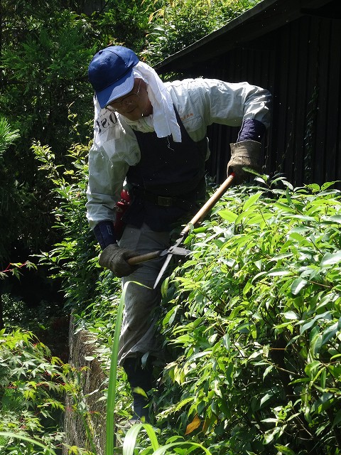 blog-DSC05794