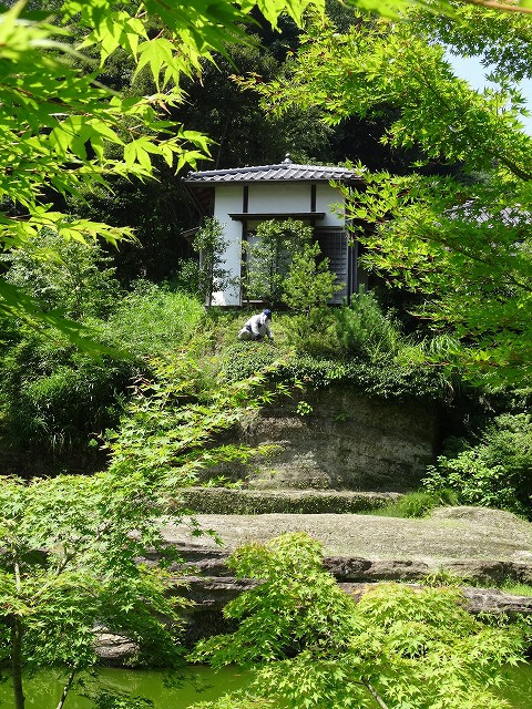 blog-DSC05805