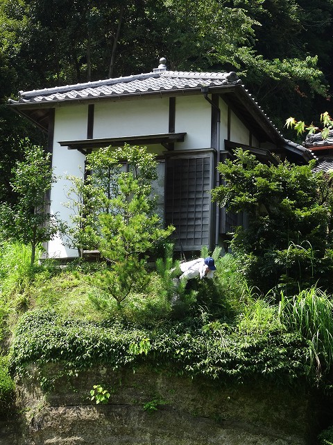 blog-DSC05809