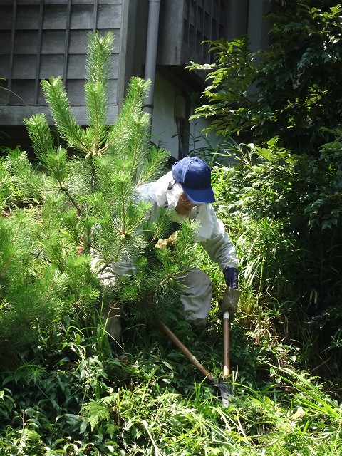 blog-DSC05815