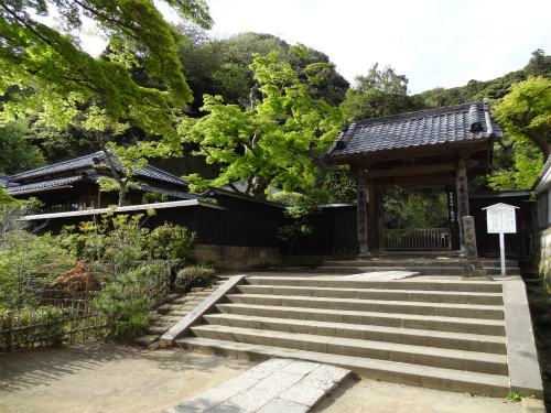blog-DSC01487.jpg
