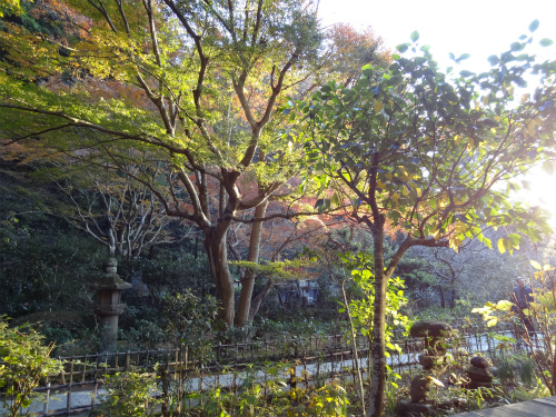 blog-DSC02873.jpg